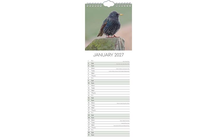 The Gifted Stationery Sl Kalender 27 Birds gtd