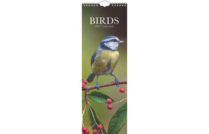 The Gifted Stationery Sl Kalender 27 Birds gtd