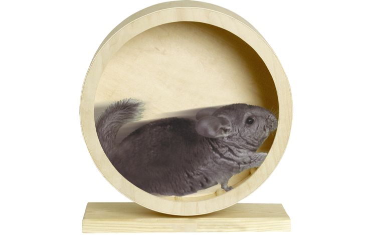 Flamingo Toy Danco Exercise wheel Light brown