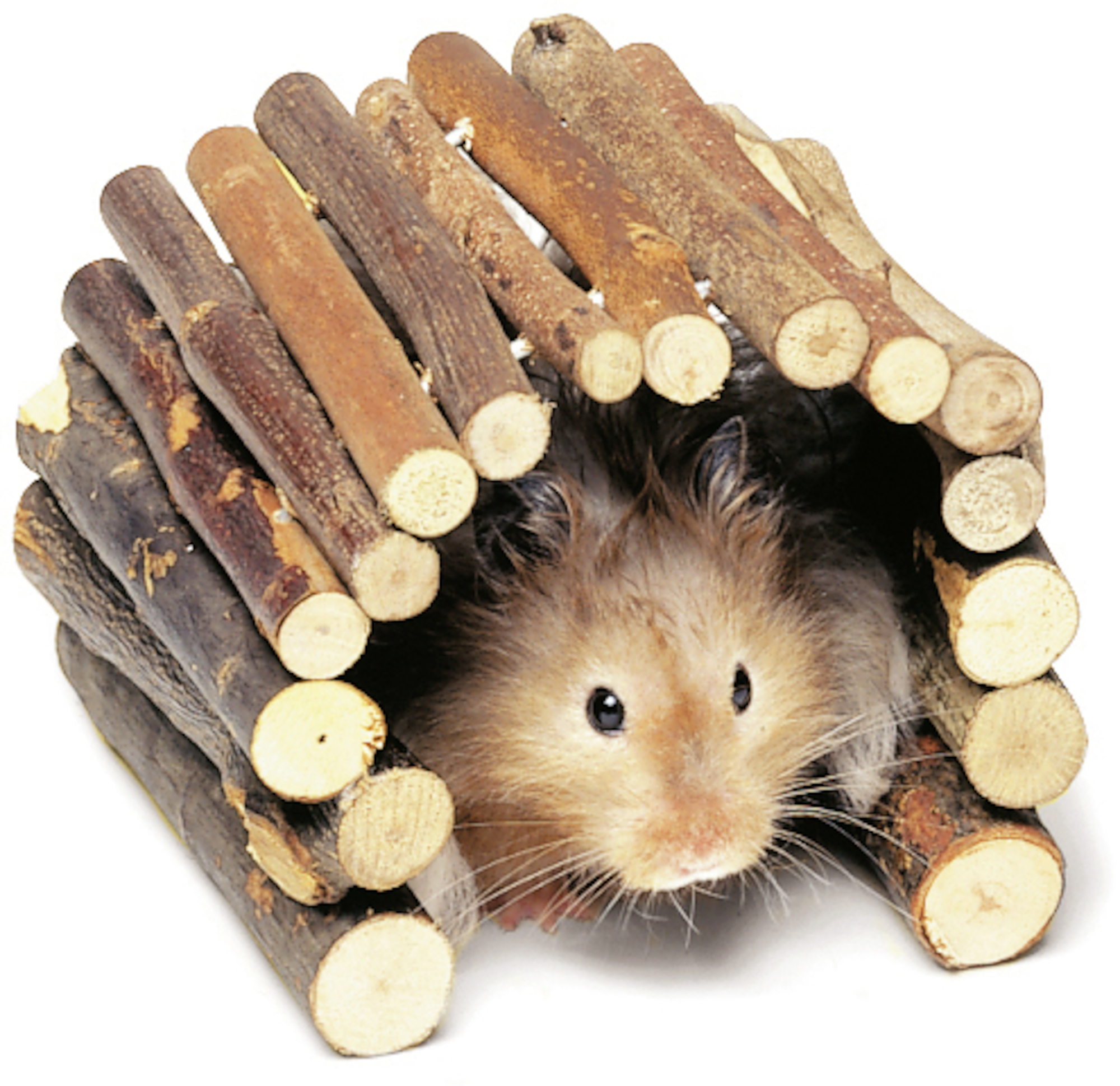 Flamingo Toy Bridge Brown