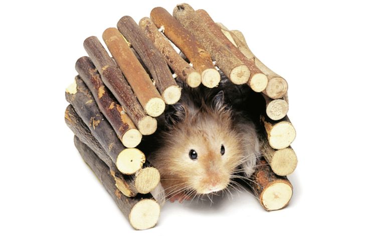 Flamingo Toy Bridge Brown