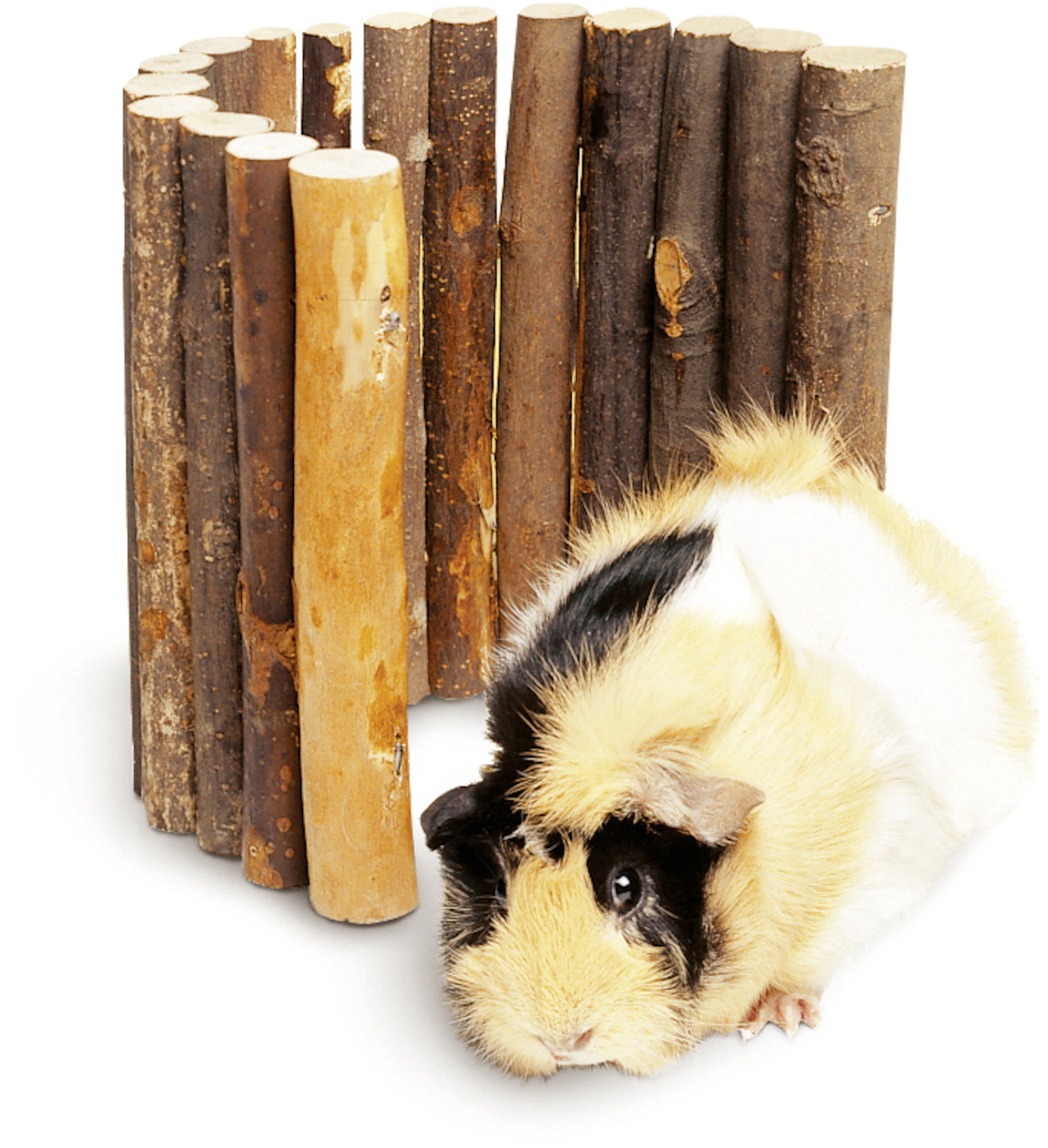 Flamingo Toy Bridge Brown