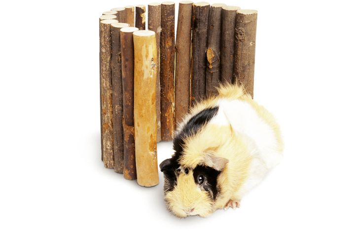 Flamingo Toy Bridge Brown