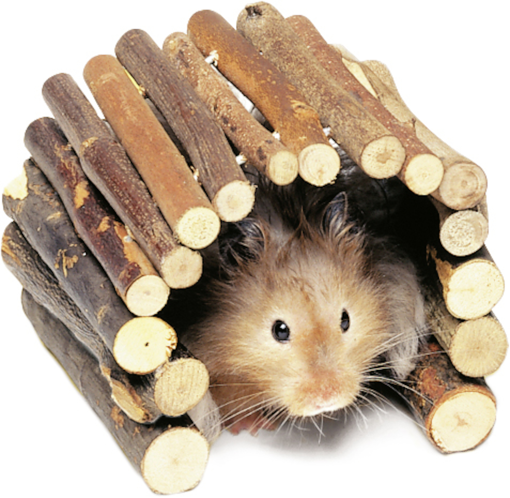 Flamingo Toy Bridge Brown