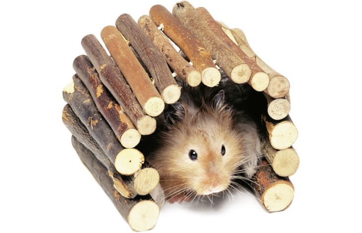 Flamingo Toy Bridge Brown