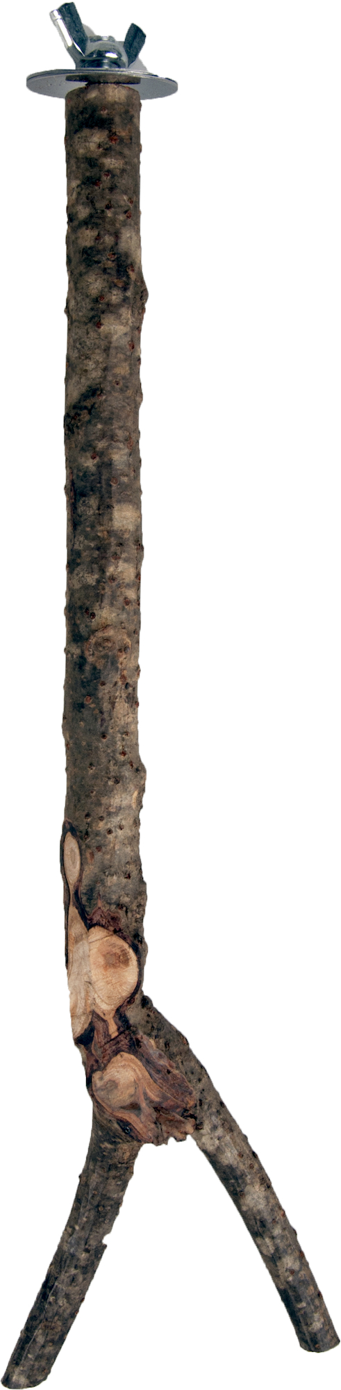 Flamingo Perch Y-shape Natural - Wood