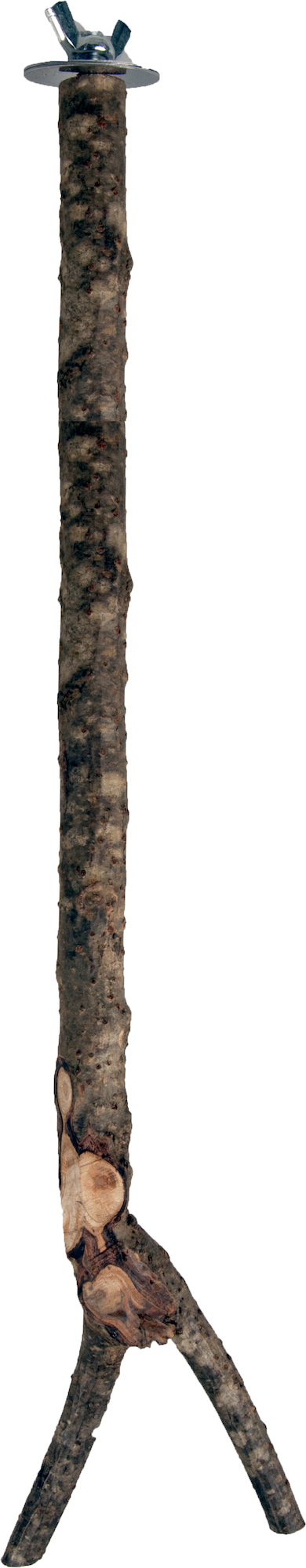 Flamingo Perch Y-shape Natural - Wood