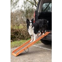 Flamingo Rampe pour chiens Vic Brun