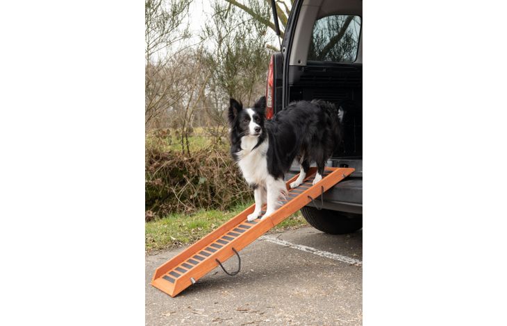 Flamingo Rampe pour chiens Vic Brun