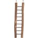Parkietenspeelgoed Scara Ladder  Bruin