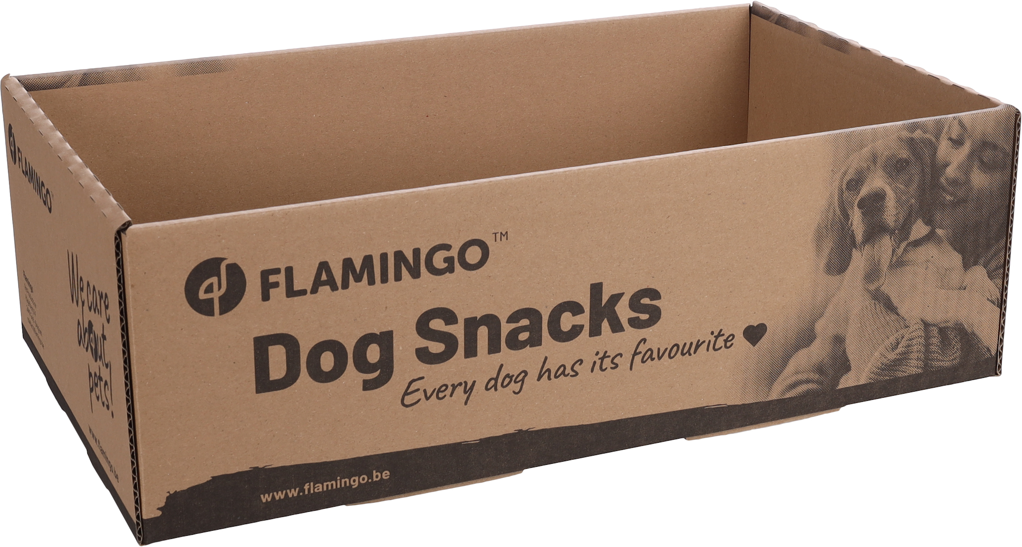 Flamingo Display Snack