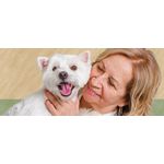 MAGNET BANNER PUPPY PUPPY WITH WOMAN 400x988MM