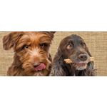 MAGNETIC BANNER HAPKI 2 DOGS 400x988MM