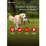 Tarjeta de encabezado Kona Perro NL