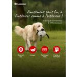 Tarjeta de encabezado Kona Perro FR