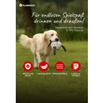 Tarjeta de encabezado Kona Perro DE
