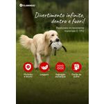 Tarjeta de encabezado Kona Perro IT