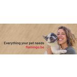 Banner magnetico Slogan Cane Bulldog Francese con Donna 40cm