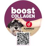 Wobbler Boost EN 