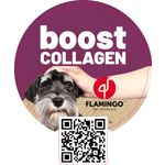 Wobbler Boost NL 