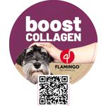 Wobbler Boost IT 