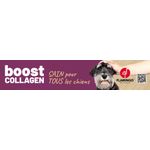 Magneetbanner Boost FR 