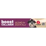 Magneetbanner Boost DE 