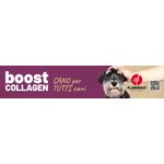 Magneetbanner Boost IT 