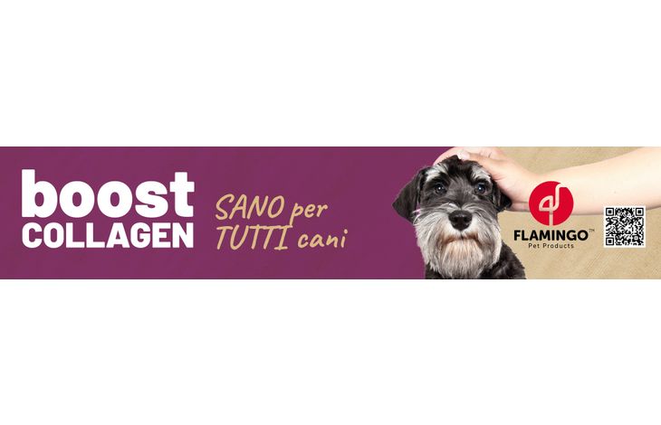 Flamingo Magneetbanner Boost IT 