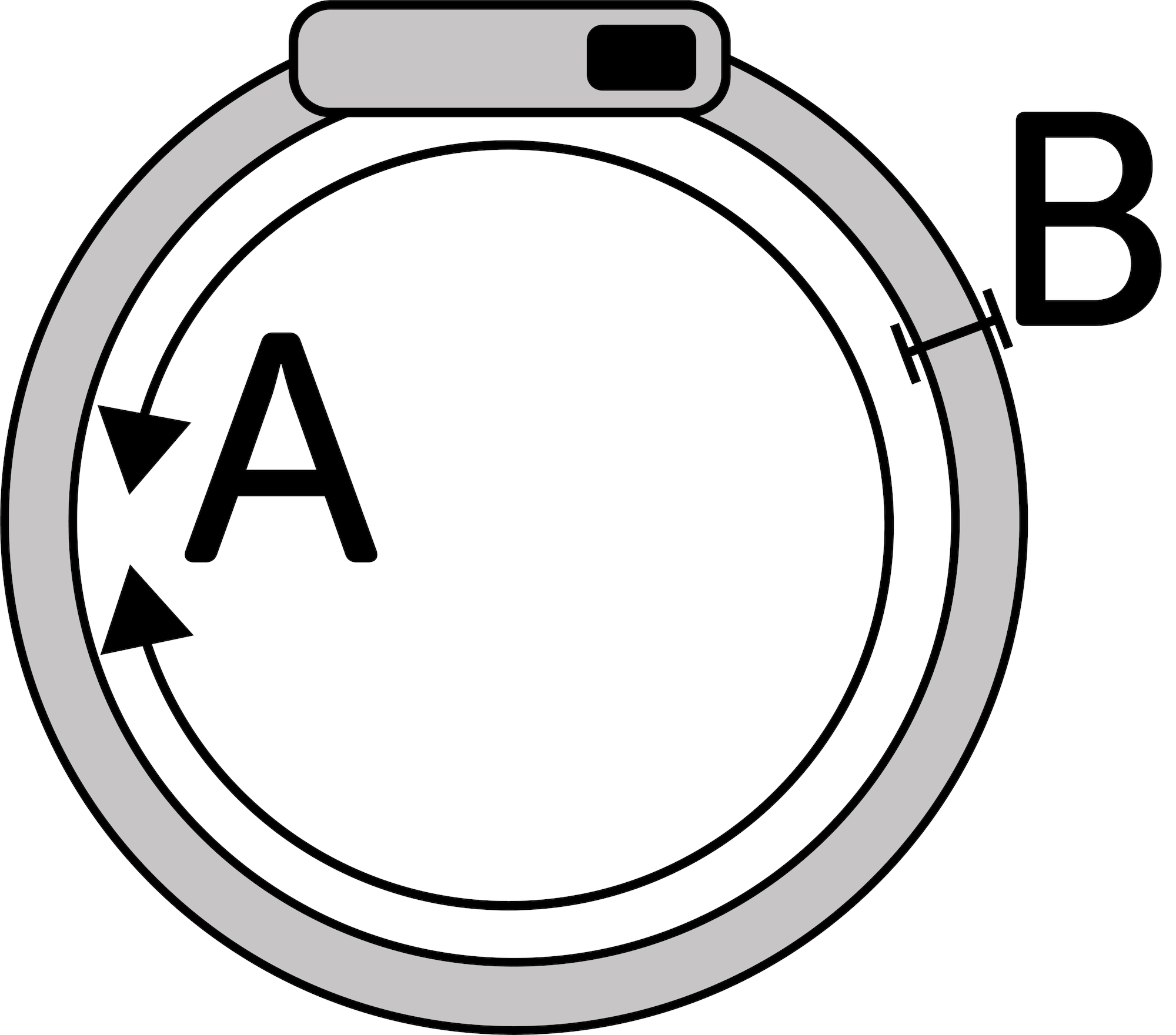 Flamingo Collar Nera Visio Orange