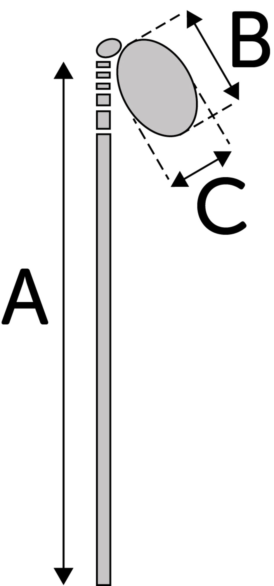 Flamingo Toy Tyra Dangler Multiple colours